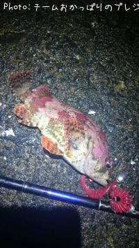 ¥è¥í¥¤¥á¥Ð¥ë