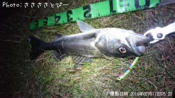 �����Х�