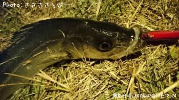 �����Х�