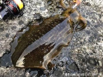 �����ꥤ��