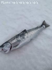 ¥µ¥¯¥é¥Þ¥¹