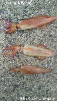 ��ꥤ�������󥵥�����