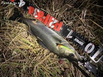 �����Х�