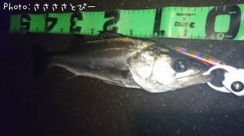 �����Х�