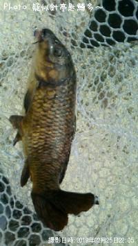 ���񡪡�