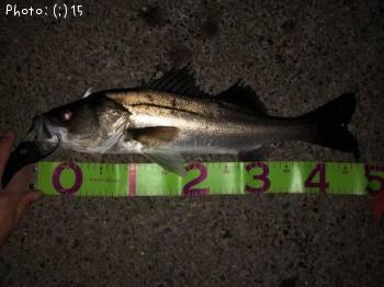 �����Х�