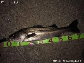 �����Х�