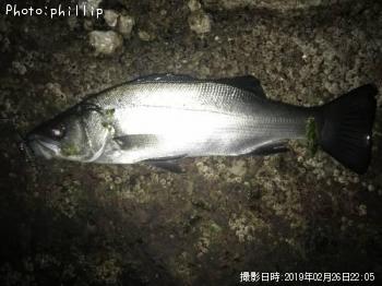 �ҥ饻����