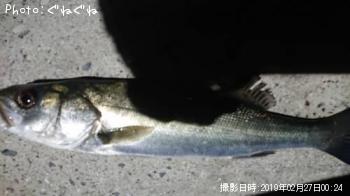 �����Х�