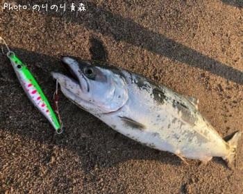 ������ޥ�