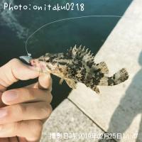 �����Υ���Х�