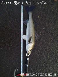 �����Х�