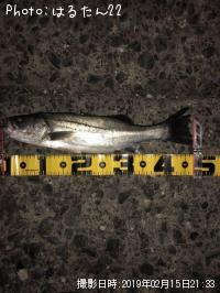 �����Х�