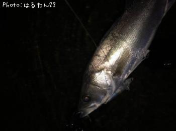 �����Х�