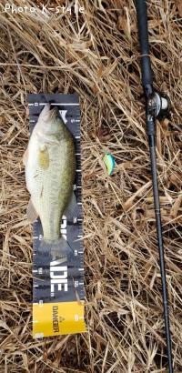 �֥�å��Х�