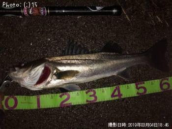 �����Х�