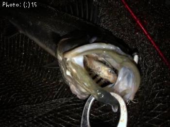 �����Х�