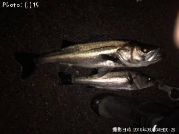 �����Х�