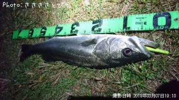 �����Х�