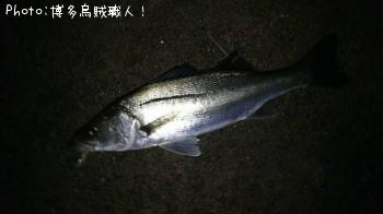 �ҥ饻����