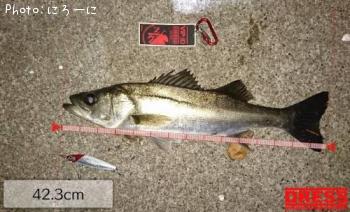 �����Х�