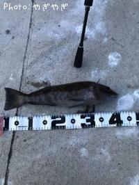 �����ʥ�