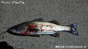 �����Х�