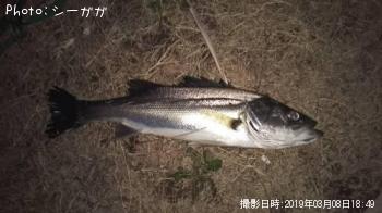 �����Х�