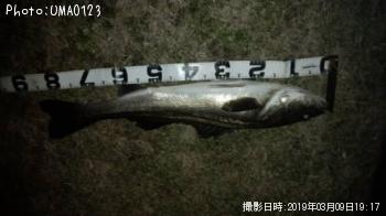 �����Х�