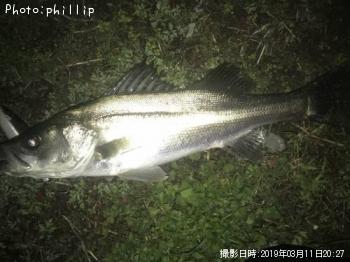 �����Х�