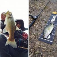 ¥Ö¥é¥Ã¥¯¥Ð¥¹