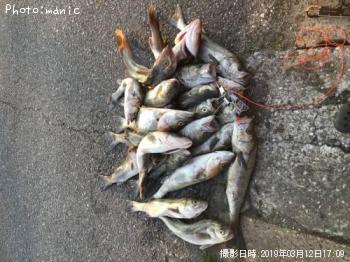 �����Х�