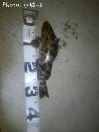 �����ʥ�