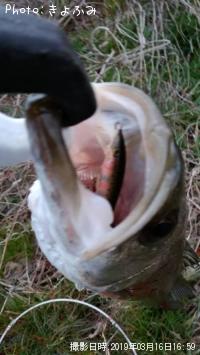 �����Х�