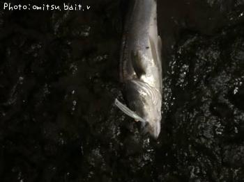 �����Х�