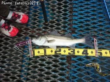 �����Х�