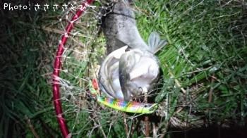 �����Х�