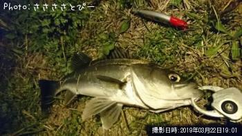 �����Х�