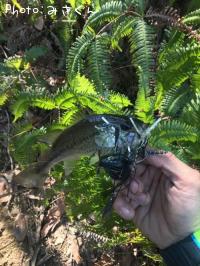 �֥�å��Х�