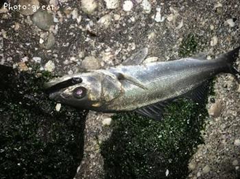 �����Х�