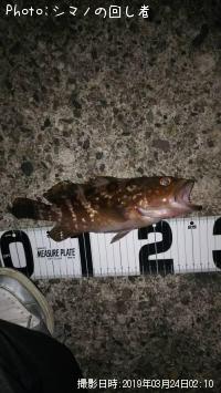 �����ϥ�