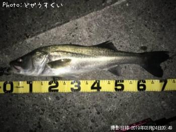 �����Х�