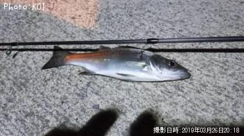 �����Х�