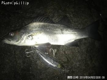 �ҥ饻����
