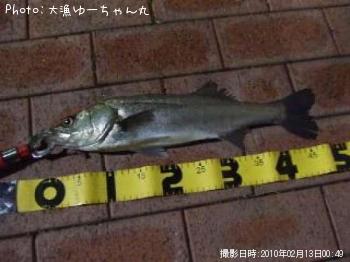 �����Х�