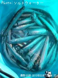 ¥«¥¿¥¯¥Á¥¤¥ï¥·