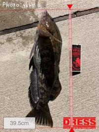 �����ʥ�