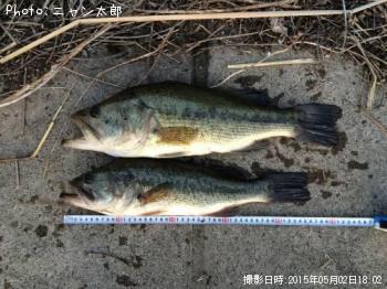 ¥Ö¥é¥Ã¥¯¥Ð¥¹