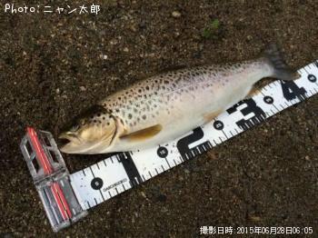 ¥Ö¥é¥¦¥ó¥È¥é¥¦¥È