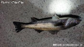 �����Х�